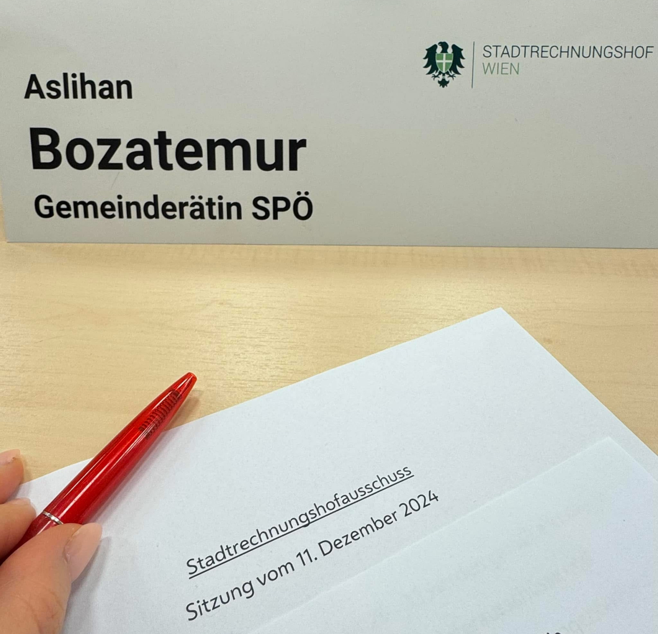 “Aslıhan Bozatemur, SPÖ Temsilcisi Olarak Viyana Sayıştay Kurulu Üyesi”