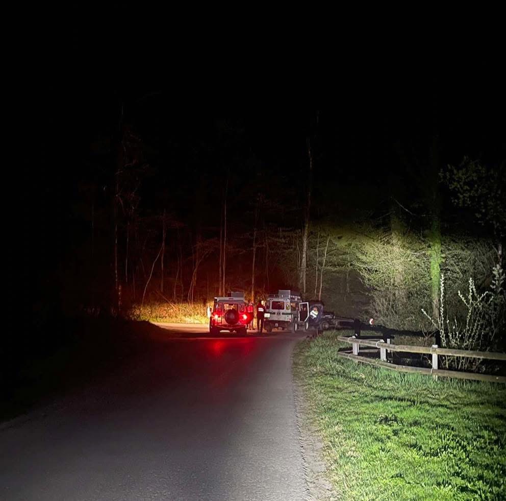 Dornbirn’de Dağda Mahsur Kalan Adam Kurtarıldı