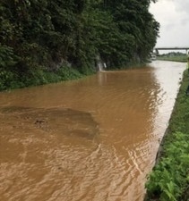 VORARLBERG ŞİDDETLİ YAĞIŞA TESLİM OLDU  