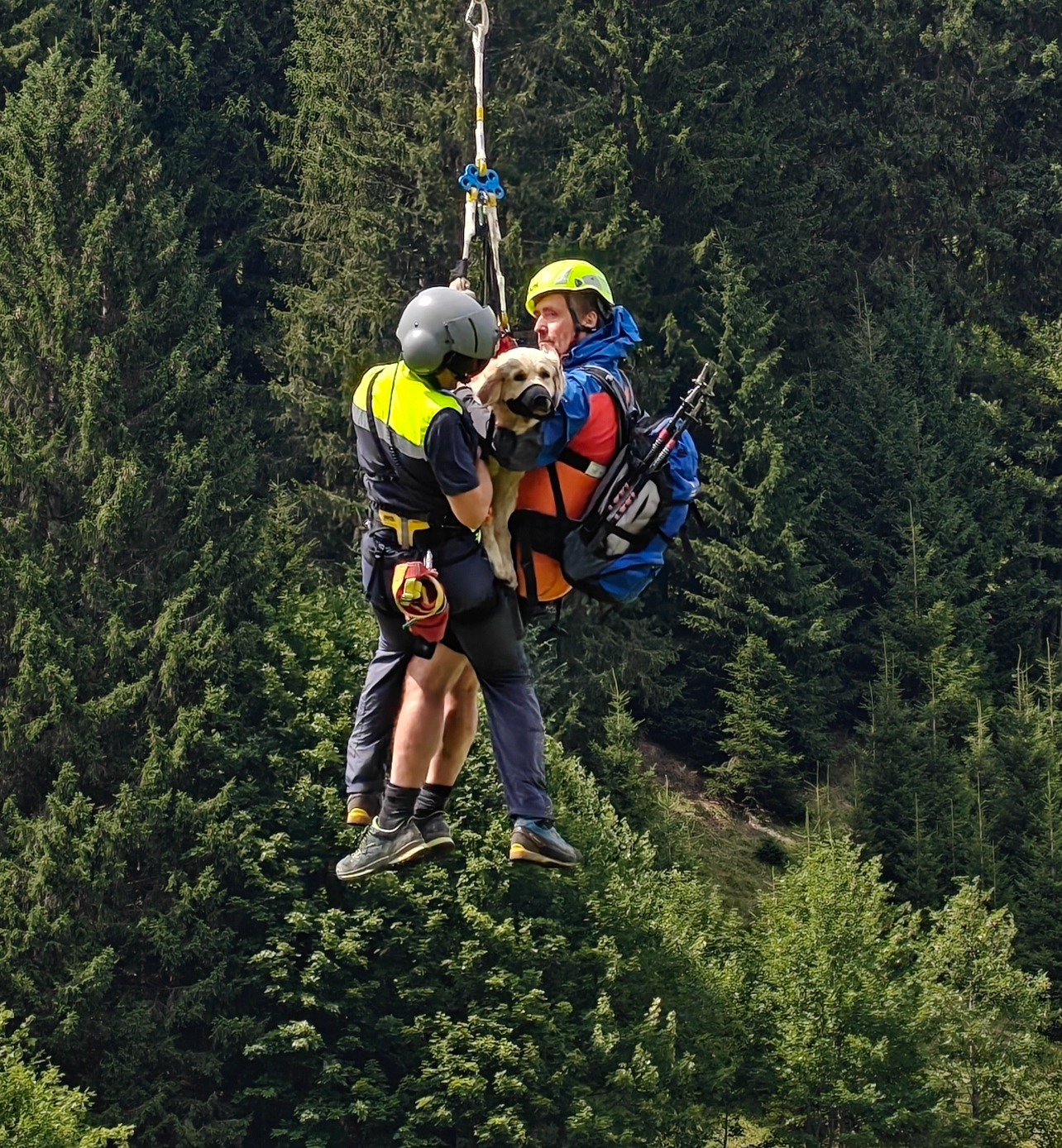 Kleinwalsertal’da Korku Dolu Anlar: Golden Retriever 40 Metre Uçuruma Yuvarlandı, Helikopterle Kurtarıldı Kleinwalsertal’da Korku Dolu Anlar: Golden Retriever 40 Metre Uçuruma Yuvarlandı, Helikopterle Kurtarıldı