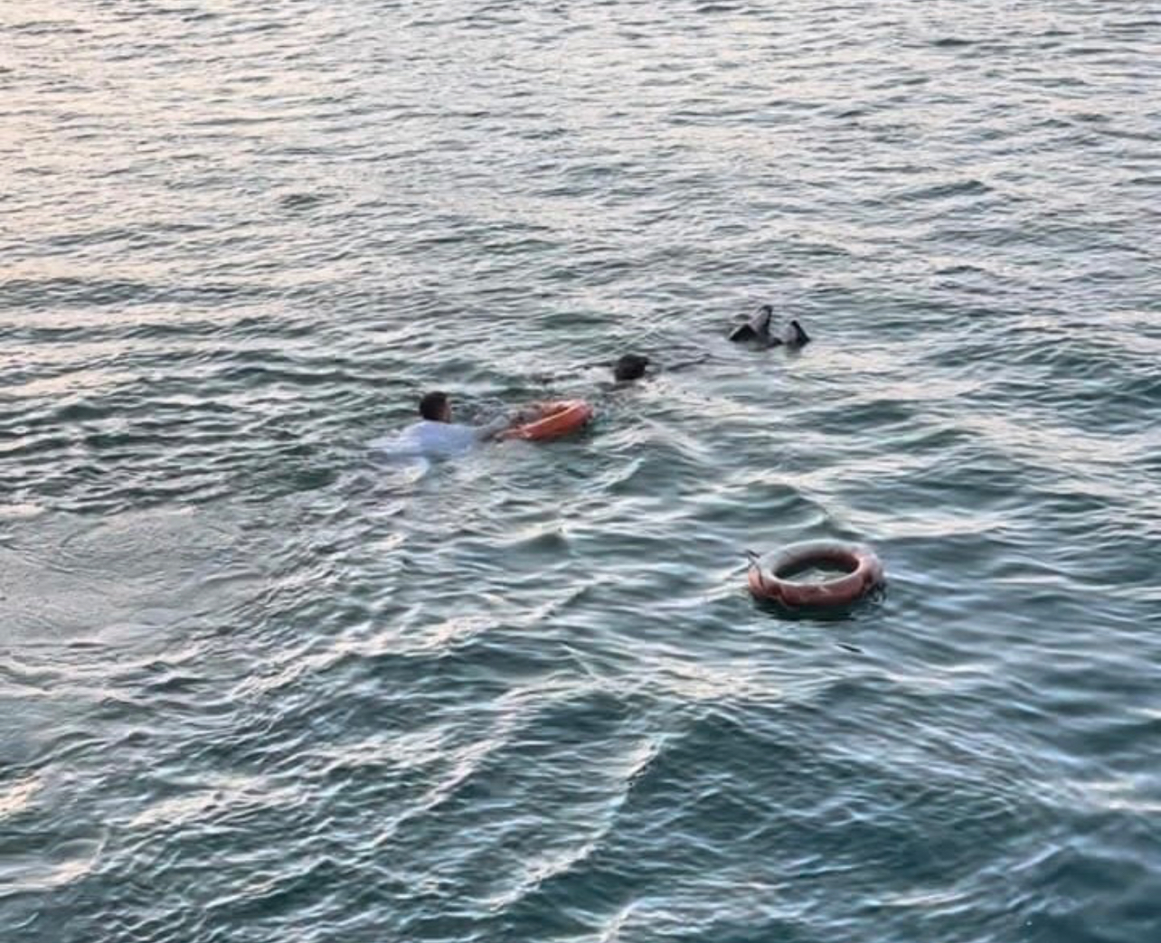 Rhein Nehri’nde Panik! Kimliği Belirsiz Kadın Son Anda Kurtarıldı Rhein Nehri’nde Panik! Kimliği Belirsiz Kadın Son Anda Kurtarıldı