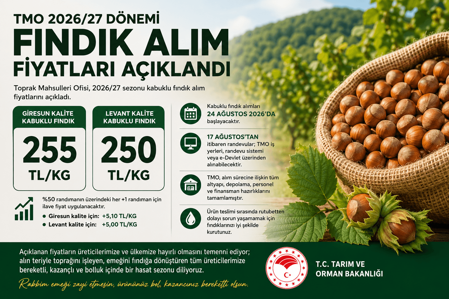 TMO 2026/27 Dönemi Fındık Alım Fiyatlarını Açıkladı